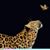 LaDawn Lamb's profile image