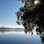 Donna Daigle's profile image