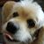 Lori Meier's profile image