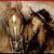 Terri Kelliher's profile image