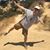 Daniel Ovesen's profile image