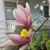 Nichole Niemeyer's profile image