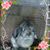 Sue Ross's profile image