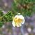Dawn Kirschmann's profile image