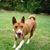 Linda Krajewski's profile image