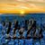 Andrea D'Angelo-risner's profile image