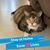 Jill Watson-Randazzo's profile image