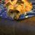 Marilyn Sue Carlson's profile image