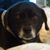 Judith Taylor's profile image