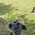 Marcella Manuel's profile image
