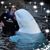 Leanne Beane's profile image