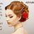Klara Himmel's profile image