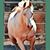 Kelley Anne Valadez's profile image