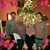 Michele Hoffman Aspan's profile image