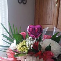 Shannon Kuchle's profile image