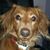 Jamie Whitten's profile image