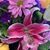 Kathy Fritz's profile image