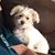 Deborah Buckley Fulmer's profile image