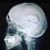 Brian Greve's profile image