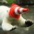 Michael Smith's profile image