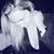 Lizandra Moss's profile image