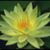 Jerri Sharpe's profile image