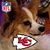 Cindy Ann Fox's profile image