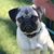 Bettis Rosenberry's profile image