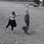 Holly Harrison Brucker's profile image