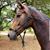 Roselyn Johnson's profile image