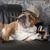 Brian Mathews's profile image