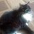 Deb Con's profile image