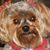 Wanda Sterkel's profile image