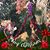 Debra Tolva's profile image