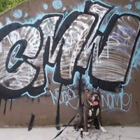 Amy Marie's profile image