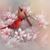 Linda Maggio's profile image