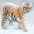 Carol Stradtmann's profile image