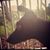 Mimosa Reyes's profile image