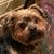 Rita Mulherin's profile image