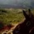 Kaipo Hookano's profile image