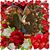 Marisol Mendoza's profile image