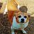 Janet Boyce's profile image