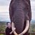 Mary Wells's profile image
