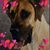 Alle Benavides's profile image