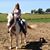 Melanie Bruggeman's profile image