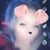Kimberly Roper's profile image