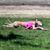 Jane Taylor's profile image