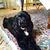 Kathleen M. Vermette Rosch's profile image