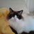 Camille Caselton Jewson's profile image