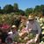 Gary Pellett's profile image